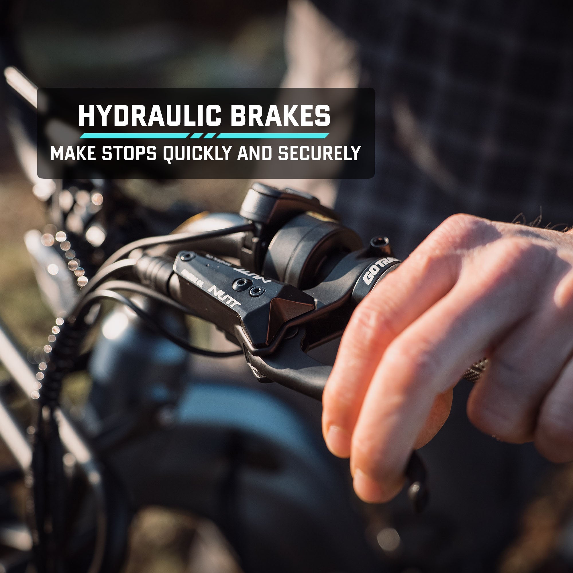 Alpine Fat Tire eBike - GOTRAX