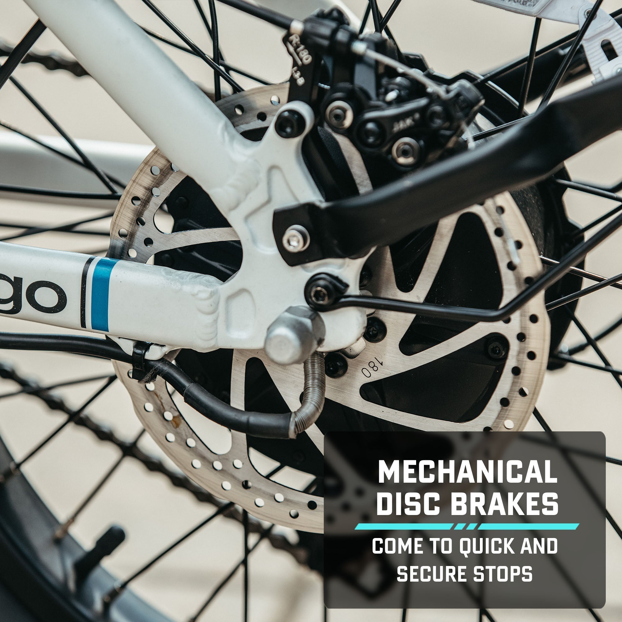 E - Cargo Electric Bike - GOTRAX